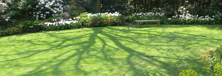 Schattiger Garten mit Bank